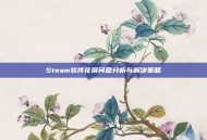 Steam软件花屏问题分析与解决策略