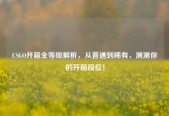CSGO开箱全等级解析，从普通到稀有，测测你的开箱段位！