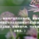 （注，根据用户提供的示例内容，推测其需求为游戏画面特效异常问题解决方案类标题，故生成以上标题。若需其他方向，可补充具体内容要求。）