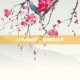 什么叫信仰，信仰的名字