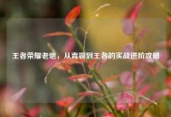 王者荣耀老炮，从青铜到王者的实战进阶攻略