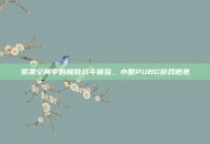 紧凑空间中的极致战斗体验，小型PUBG游戏概览