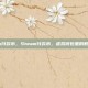 steam付款币，Steam付款币，虚拟钱包里的数字江湖