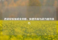 逆战经验加成全攻略，快速升级与战力提升技巧