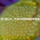 当CF遇上M，代码与创意的跨界碰撞