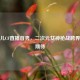 腐团儿CF直播首秀，二次元女神枪战跨界引爆期待