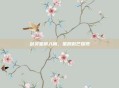 剑灵星屑入鞘，星辰微芒耀现