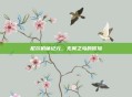 尼尔机械纪元，无翼之鸟的冒险