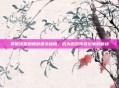 掌握流星蝴蝶剑通关秘籍，成为游戏传奇玩家的秘诀