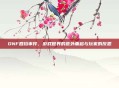 DNF回档事件，游戏世界的意外重启与玩家的反思