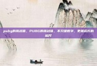 pubg的挑战值，PUBG的挑战值，不只是数字，更是成长的标尺