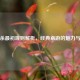 三国杀最初规则解析，经典桌游的魅力与设计