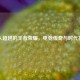 无人超越的王者荣耀，电竞传奇与时代符号