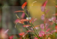 锋刃
