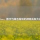 712cf.con，数字与域名背后的神秘关联大揭秘