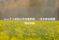 Steam个人资料公开设置教程，一步步教你调整隐私权限