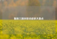 魅族三国杀联动皮肤大盘点