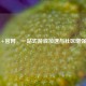 Steam+官网，一站式游戏加速与社区增强利器
