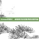 Steam苹果卡，解锁数字游戏世界的无限可能