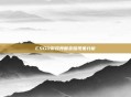 CSGO游戏界面变暗现象分析