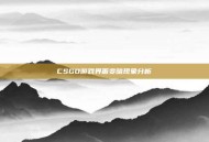 CSGO游戏界面变暗现象分析