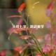 火线七字，简战美学