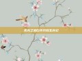 无光之地白手开拓生存纪