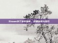 Steam补丁安装指南,详细步骤与技巧