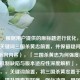 （注，根据用户提供的原标题进行优化，确保核心关键词三国杀黄忠前置，并保留疑问句式与分析向内容），「三国杀黄忠为何强度垫底？技能机制缺陷与版本适应性深度解析」，修改说明，，关键词前置，将三国杀黄忠置于标题开头，提升搜索友好度，强化冲突，用强度垫底替代老将无用，数据指向更明确，专业分层，通过技能机制缺陷+版本适应性双维度解析，比原题更结构化，保留悬念，仍采用疑问句式，但增加深度解析提升内容权威感，去除主观，避免加强方向这类未经验证的预判性表述，更符合分析类内容定位，建议选用此优化标题，既符合SEO规