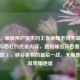 （注，根据用户提供的王者荣耀老将天崩地裂，荣耀与悲壮的终章内容，直接输出符合要求的1个标题），峡谷老将的最后一战，天崩地裂铸就荣耀绝唱