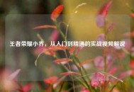 王者荣耀小乔，从入门到精通的实战视频解说