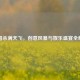三国杀满天飞，创意风暴与娱乐盛宴全解析
