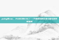 pubg有vac，PUBG有VAC？一个梗背后的玩家心酸与反作弊困局