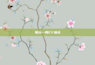 每玩一局CF就会