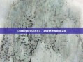 口袋妖怪绿宝石493，神奇世界的冒险之旅