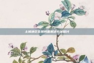 土城地区花屏问题解决方案探讨