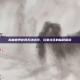 魔兽世界官网无法访问，玩家社区的临时困境