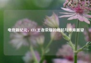 电竞新纪元，CEC王者荣耀的崛起与未来展望