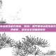 和平精英冰雪宝藏兑换码，别急！和平精英冰雪宝藏兑换码全网疯传，这份安全须知请收好