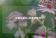 改善早泄的10种食物推荐