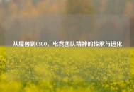 从魔兽到CSGO，电竞团队精神的传承与进化