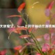 猎天使魔女，Steam上的华丽动作游戏解析