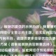 （注，根据您提供的示例内容，我推测可能是关于网络安全警示的主题。若实际内容与以下标题方向不符，请提供更多背景信息以便调整。），方案（请根据具体内容侧重选择），，逆战H网站暗藏危机，起底网络色情陷阱的三大危害，当心！这类游戏网站正在窃取你的个人信息，深度解析 | 色情伪装下的网络诈骗如何套路青少年，（请补充具体文章内容或关键信息点，我将为您优化出最精准的标题。当前标题已突出风险警示和危害性，符合网络安全警告类文章的常规命名逻辑。）