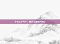 哥们三十六计，智慧与策略的融合