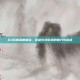 G3玩家深度体验，穿越火线游戏的魅力与挑战