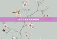 慧云及圣套装价格分析