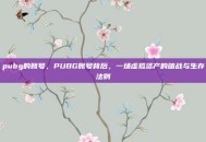 pubg的账号，PUBG账号背后，一场虚拟资产的暗战与生存法则