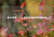 枪火玫瑰，PUBG虚拟战场中的炽热网恋