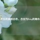 绝地求生的温情治愈，念安与Pubg的暖心之旅