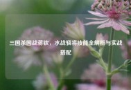 三国杀国战蒋钦，水战骁将技能全解析与实战搭配